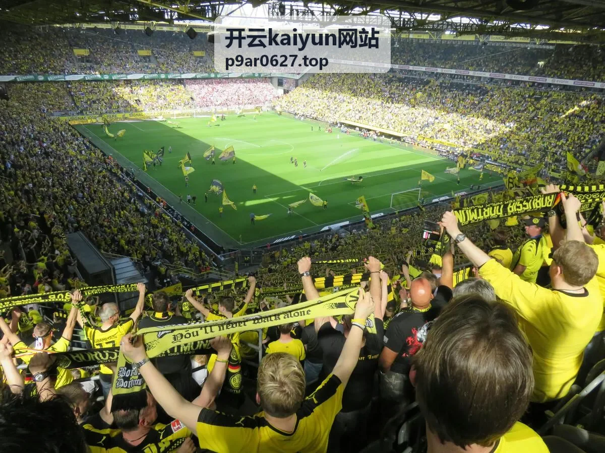 开云kaiyun网站套餐权益对比说明配图