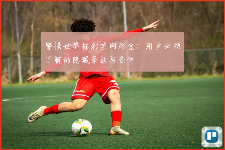 警惕世界杯彩票网彩金：用户必须了解的隐藏条款与条件